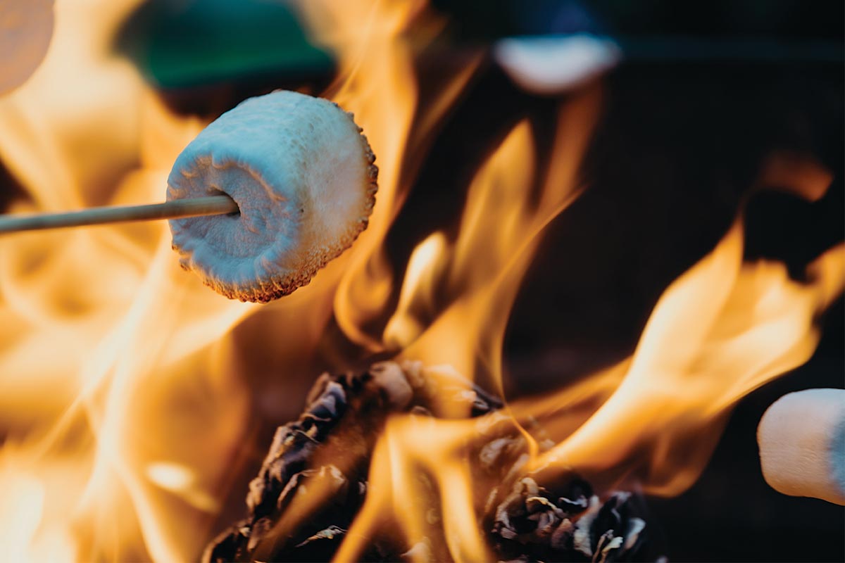 CoolZoomSmores_1200x800