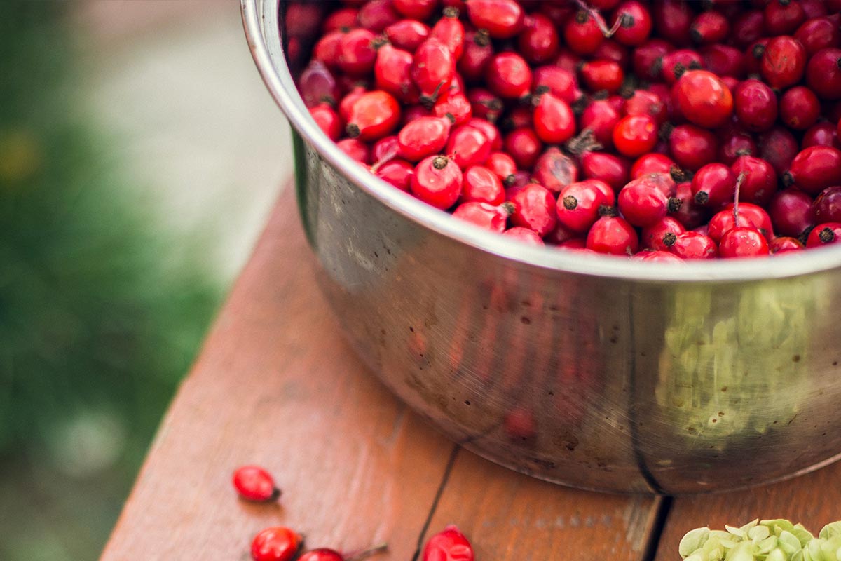 Cranberry_1200x800