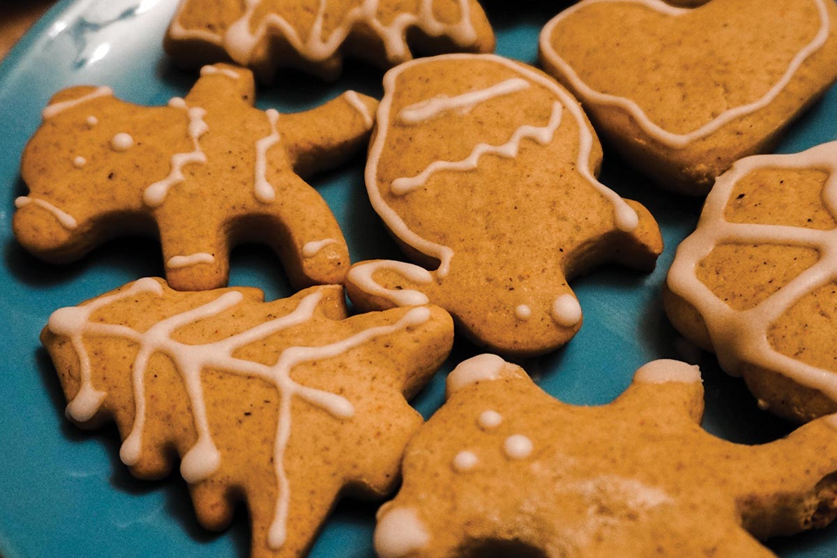 Gingerbread_1200x800